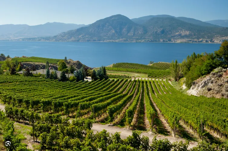 Residential Cleaning work by Okanagan Peak Cleaning in Kelowna