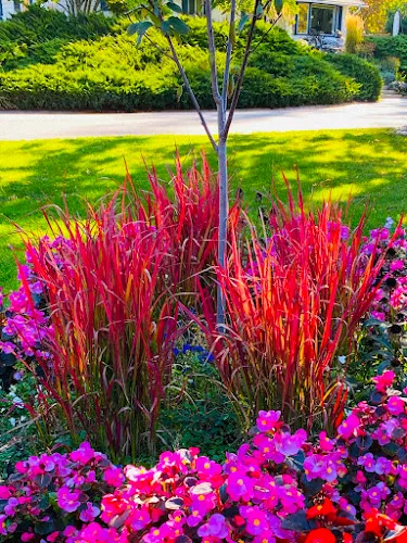 Lake City Grasses Garden Centre