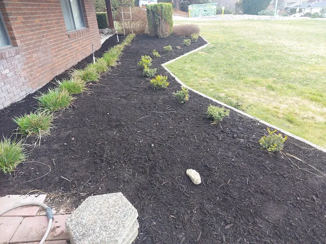 Landscaping work by Apollo Landscaping Kelowna in Kelowna