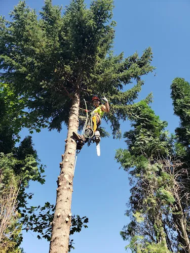 Landscaping work by Yard By Yard Lawn & Tree Care in Kelowna