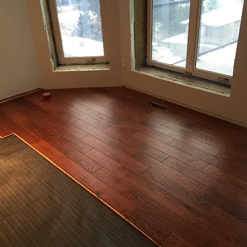 Sanas Renovation and Maintenance Services