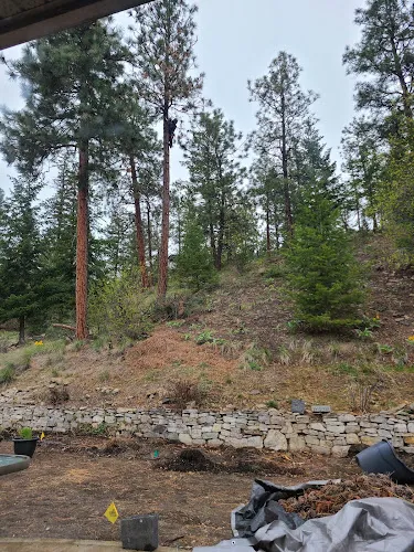 Tree Services work by Davidson Tree Care in Kelowna